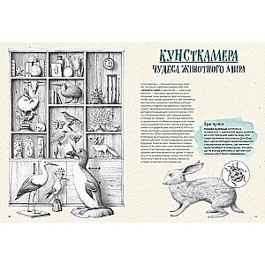 On the verge of extinction. Fauna of the Earth