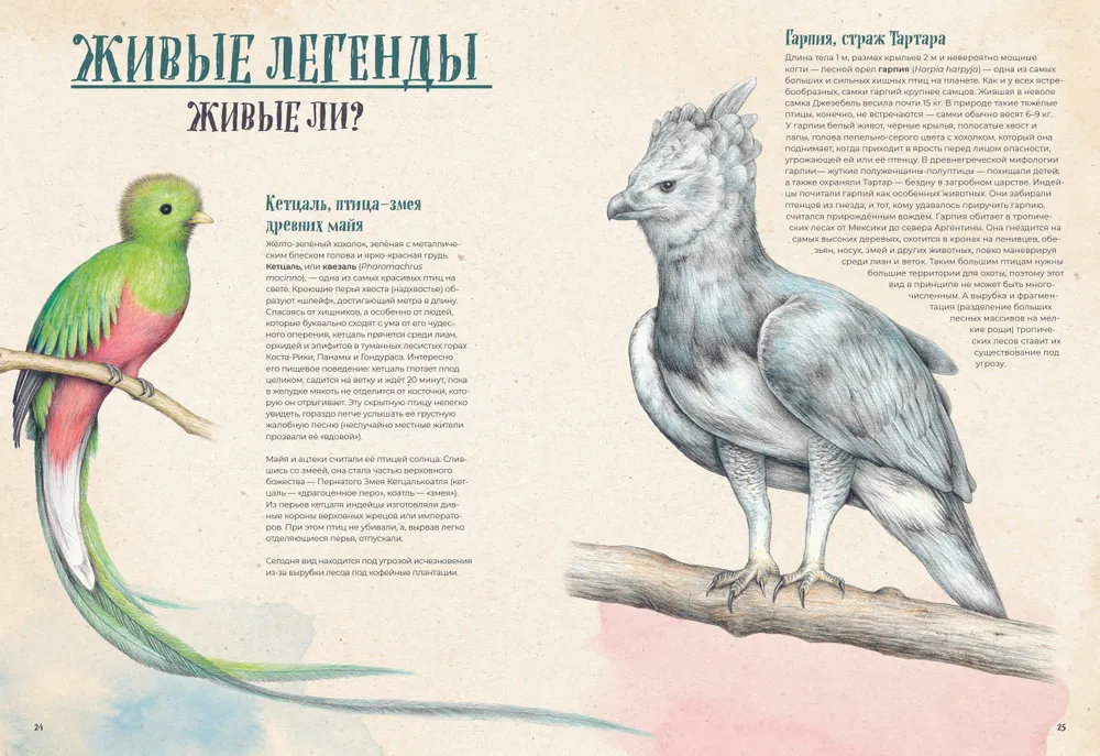 On the verge of extinction. Fauna of the Earth