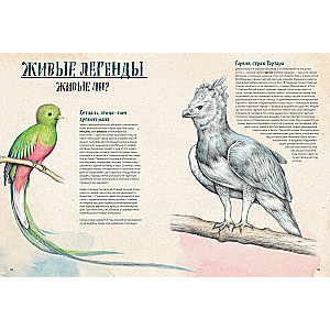 On the verge of extinction. Fauna of the Earth