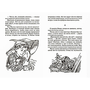 Nils' wonderful journey with wild geese. Fairy Tale