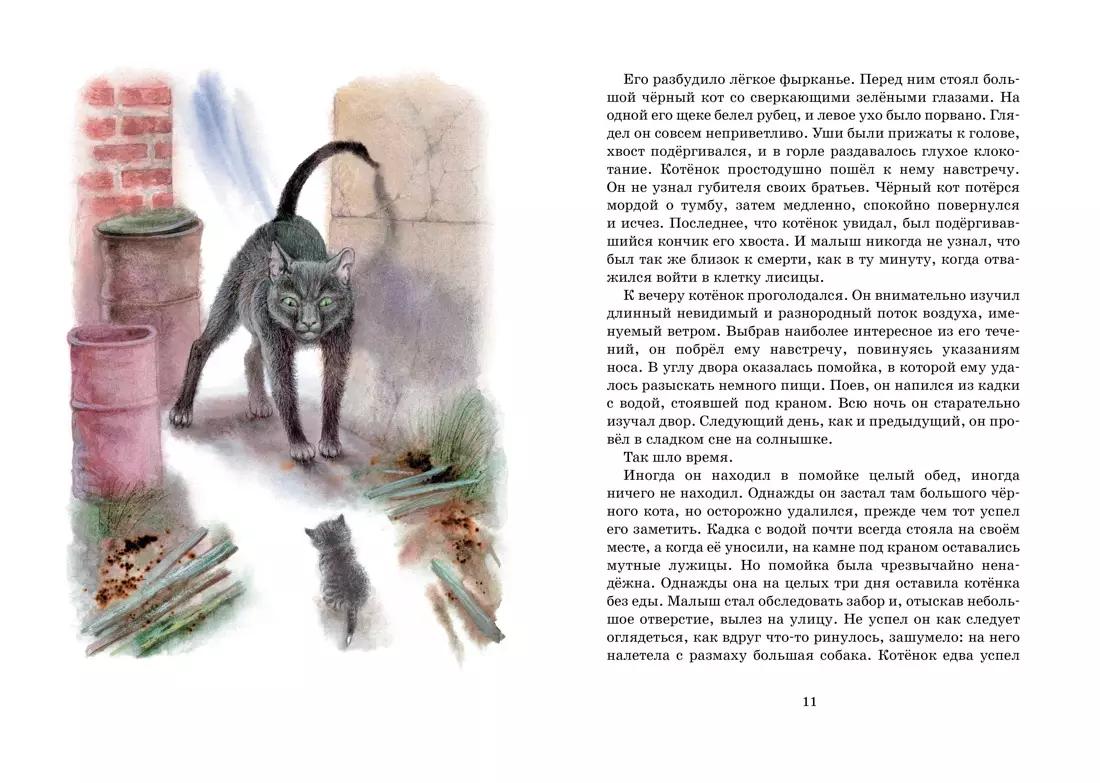 Stāsti par dzīvniekiem