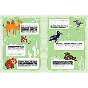 In the animal world. Sultry desert. Panorama book with stickers