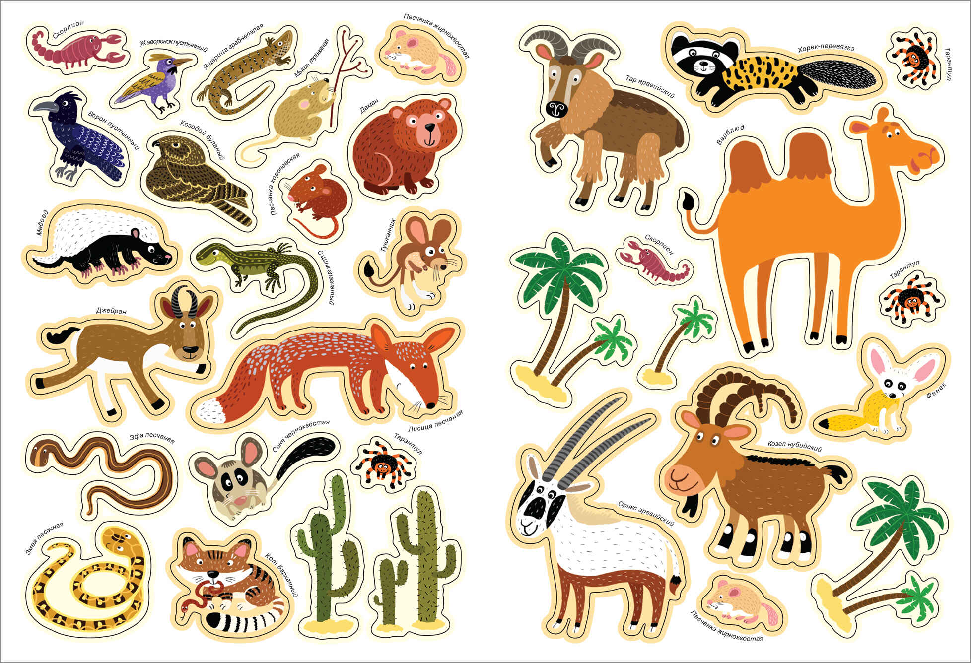 In the animal world. Sultry desert. Panorama book with stickers
