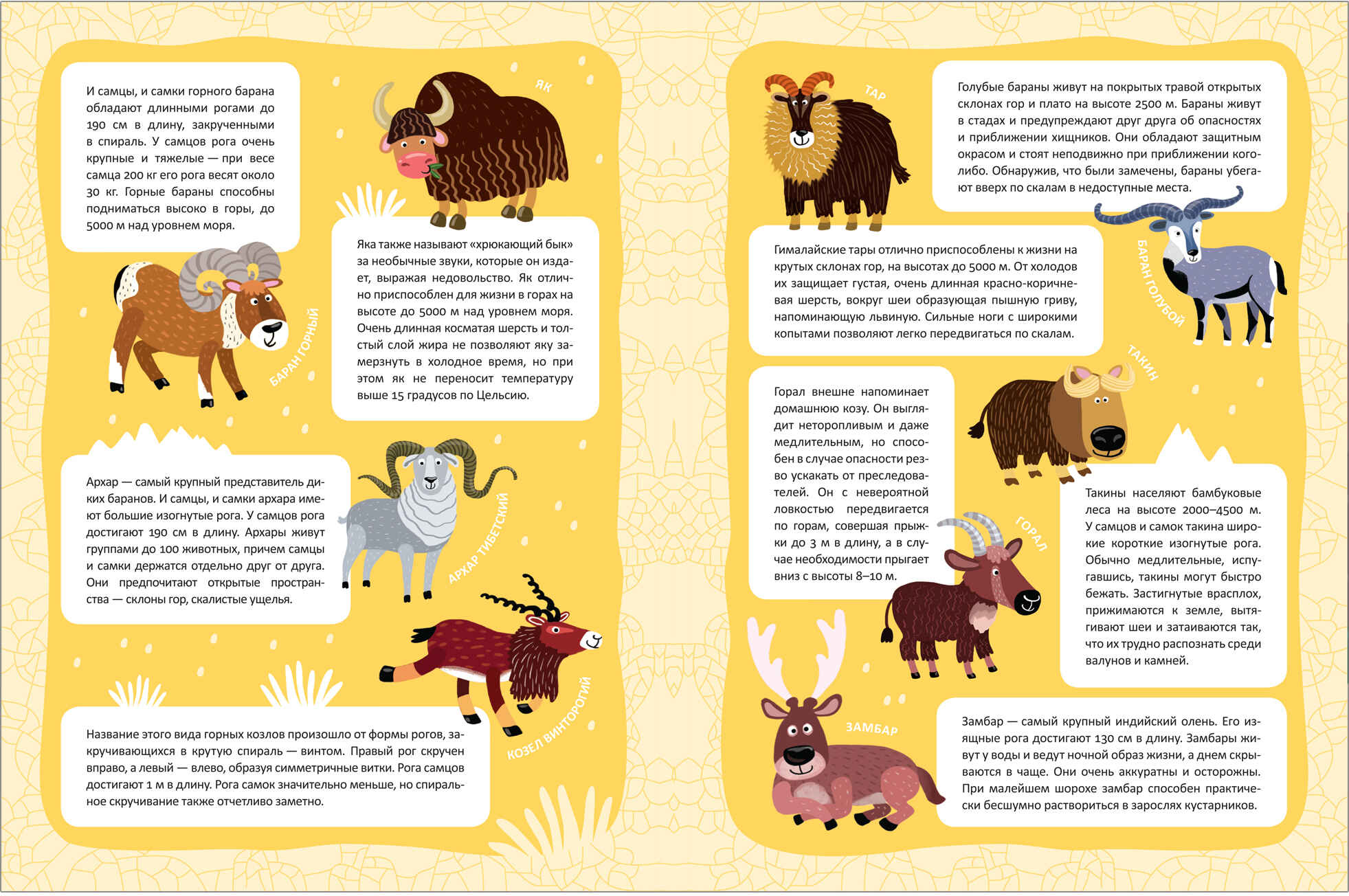 In the Animal World. High Mountains. A Sticker Panorama Book