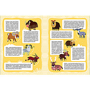 In the Animal World. High Mountains. A Sticker Panorama Book
