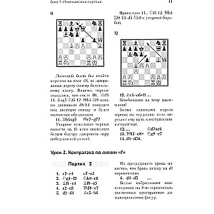 Chess opening lessons