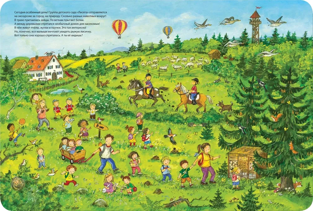 A Day in Nature