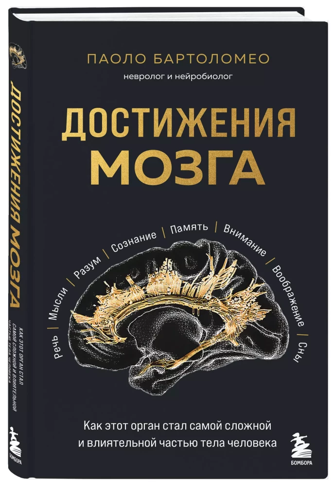 Achievements of the brain. How this organ became the most complex and influential part of the human body