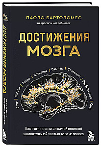 Achievements of the brain. How this organ became the most complex and influential part of the human body