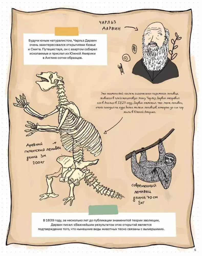 Stones and bones. Fossils and the stories they tell