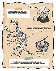 Stones and bones. Fossils and the stories they tell