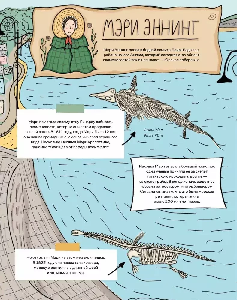 Stones and bones. Fossils and the stories they tell
