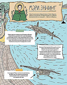 Stones and bones. Fossils and the stories they tell
