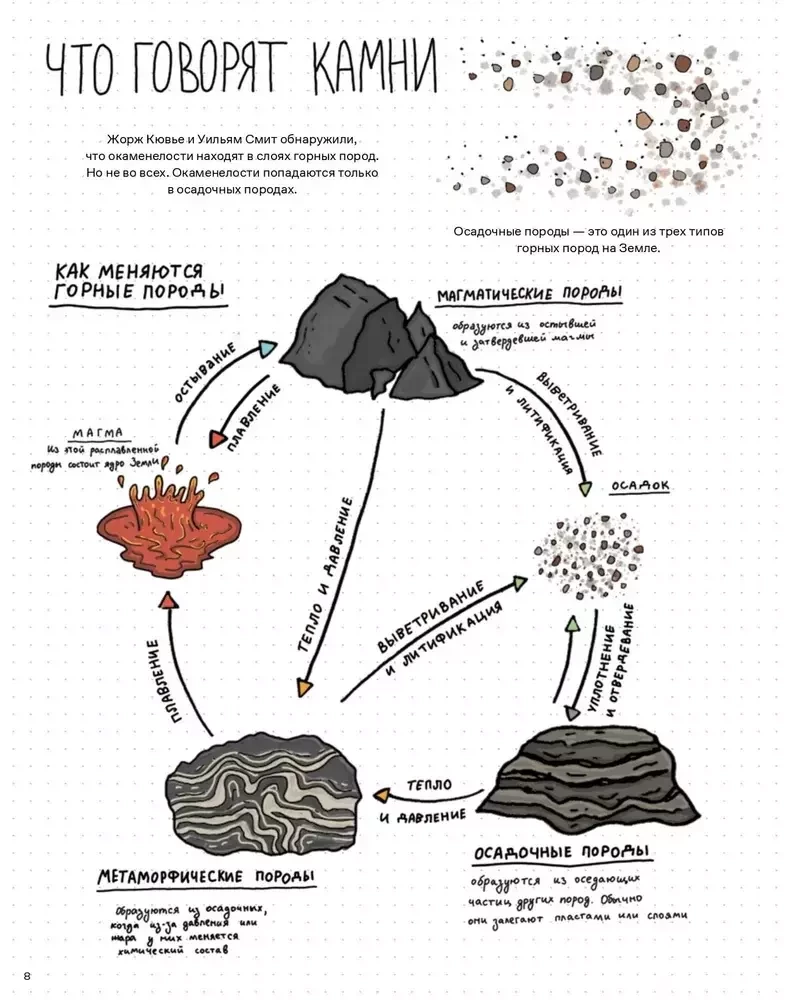 Stones and bones. Fossils and the stories they tell