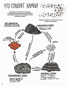 Stones and bones. Fossils and the stories they tell