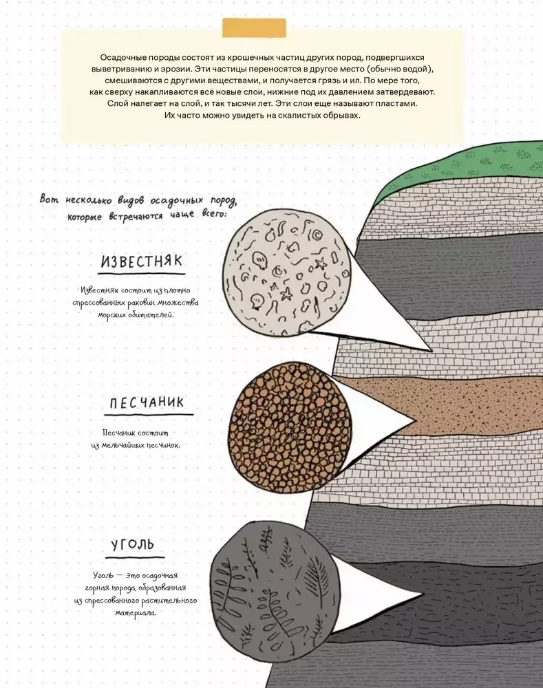Stones and bones. Fossils and the stories they tell