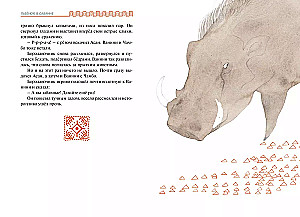 Lauva savannā