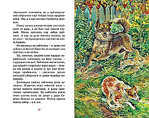 Stories about animals