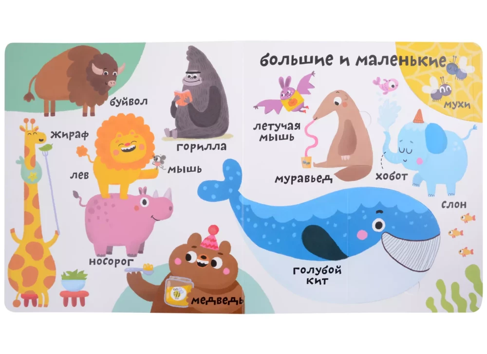My first 100 words with boxes. Such different animals