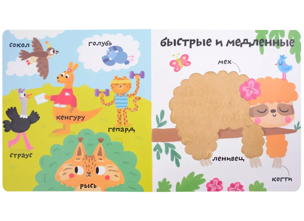 My first 100 words with boxes. Such different animals