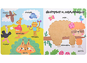 My first 100 words with boxes. Such different animals