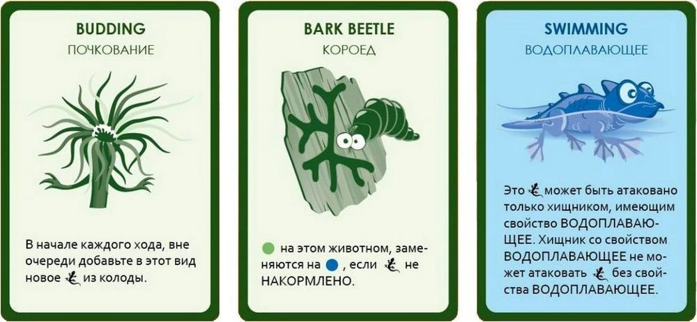 Kortų žaidimas Evoliucija. Atsitiktinės mutacijos (papildymas)