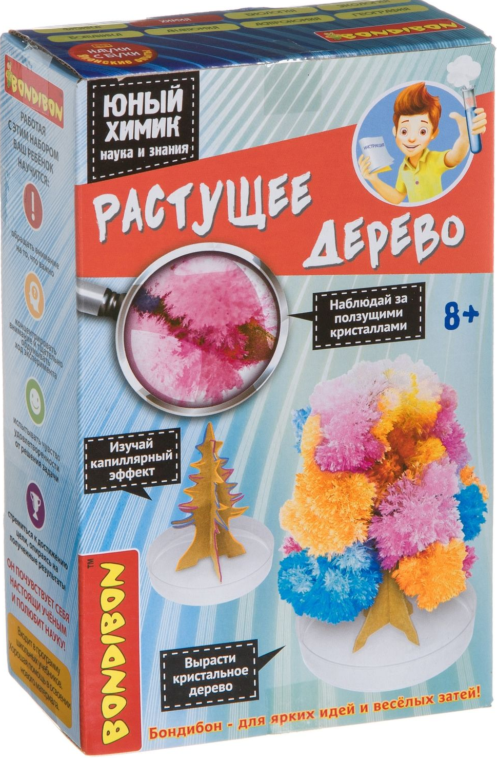 Jaapani katsed Noor keemik. Kasvav puu