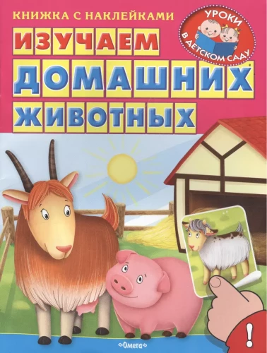 Sticker Book. Learning about Pets
