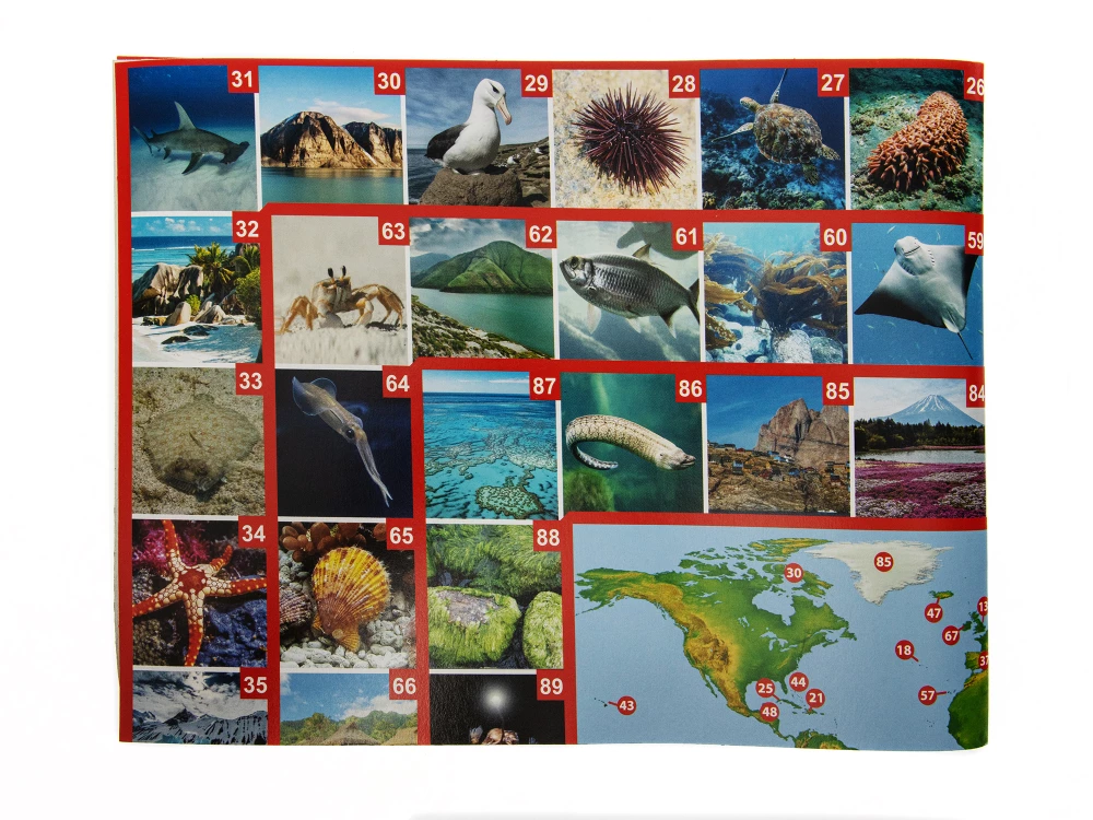 Walking board game Photo quiz. Across the seas and oceans