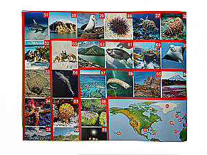 Walking board game Photo quiz. Across the seas and oceans