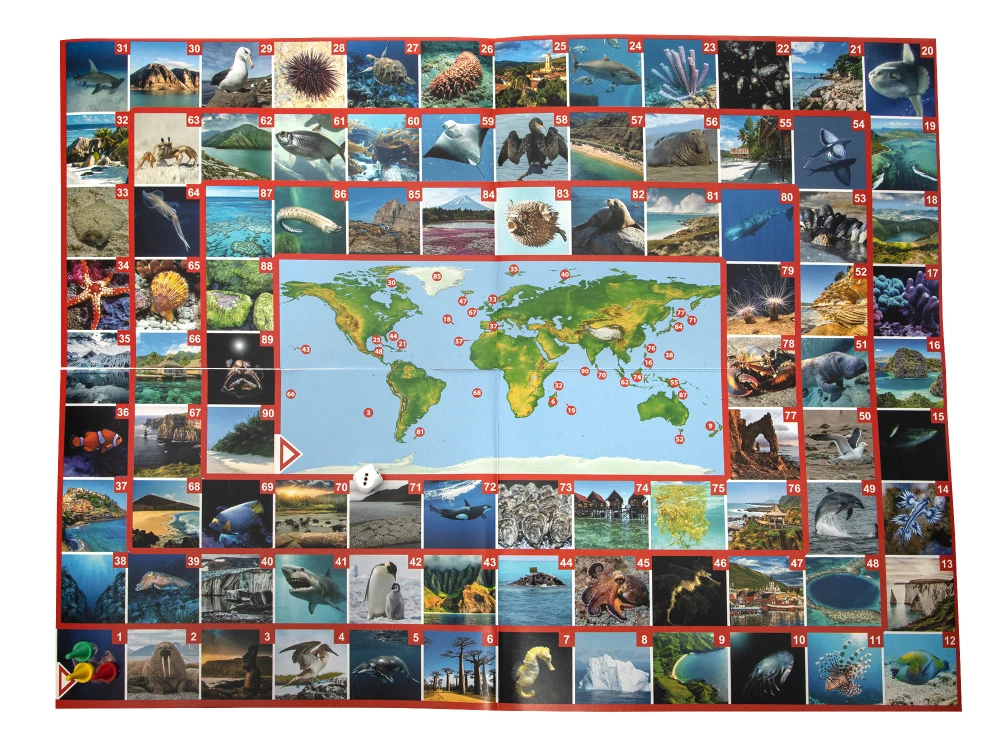 Walking board game Photo quiz. Across the seas and oceans