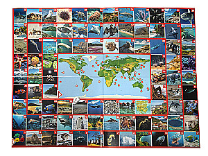 Walking board game Photo quiz. Across the seas and oceans