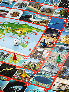 Walking board game Photo quiz. Across the seas and oceans