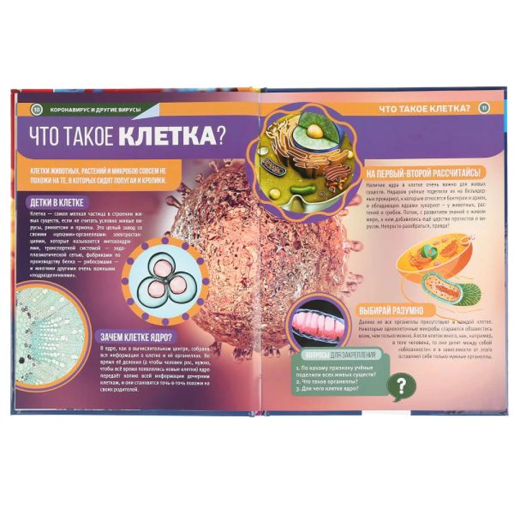 Coronavirus and other viruses. Encyclopedia A4 with developmental tasks
