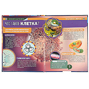 Coronavirus and other viruses. Encyclopedia A4 with developmental tasks