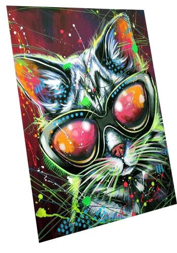 Paint by Numbers with Glow in the Dark Paint Stylish Cat, 40x50cm