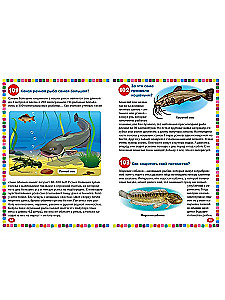 Undersea world. Encyclopedia for children from 5 to 9 years old. 111 answers to why questions