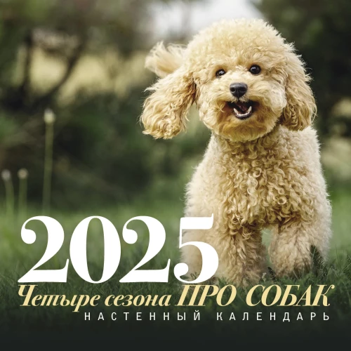 Wall calendar about dogs. Four seasons for 2025
