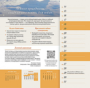 Wall calendar about dogs. Four seasons for 2025