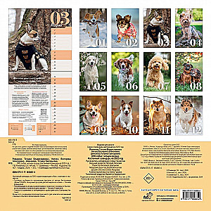 Wall calendar about dogs. Four seasons for 2025