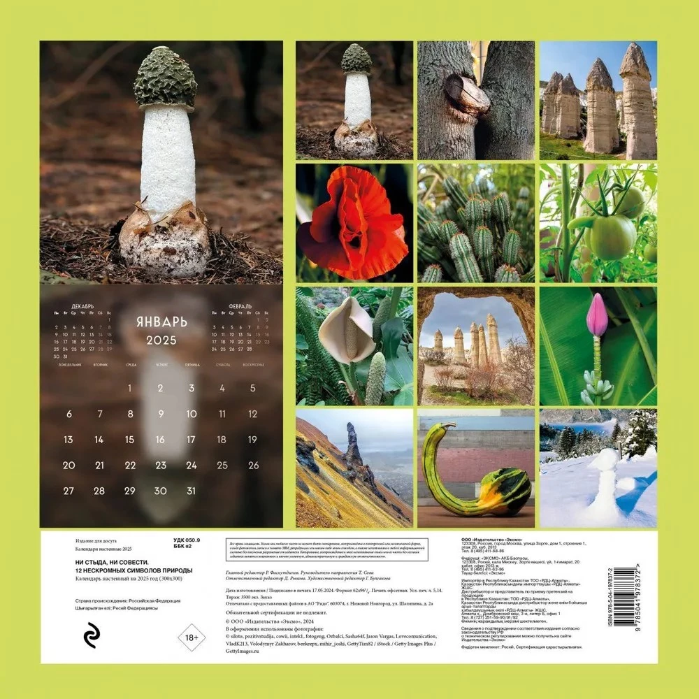Wall Calendar - No Shame, No Conscience. 12 Immodest Symbols of Nature for 2025