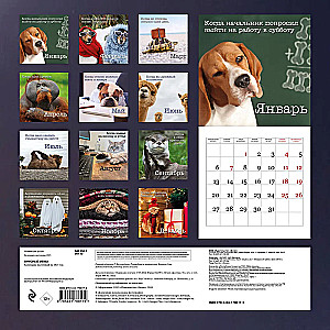 Wall Calendar for 2025. Office Memes