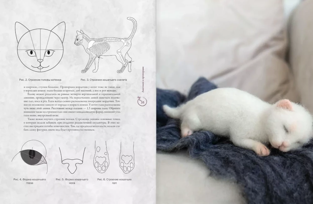 I want a kitten. Creating realistic kittens using the dry felting technique