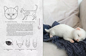 I want a kitten. Creating realistic kittens using the dry felting technique