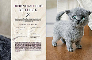 I want a kitten. Creating realistic kittens using the dry felting technique