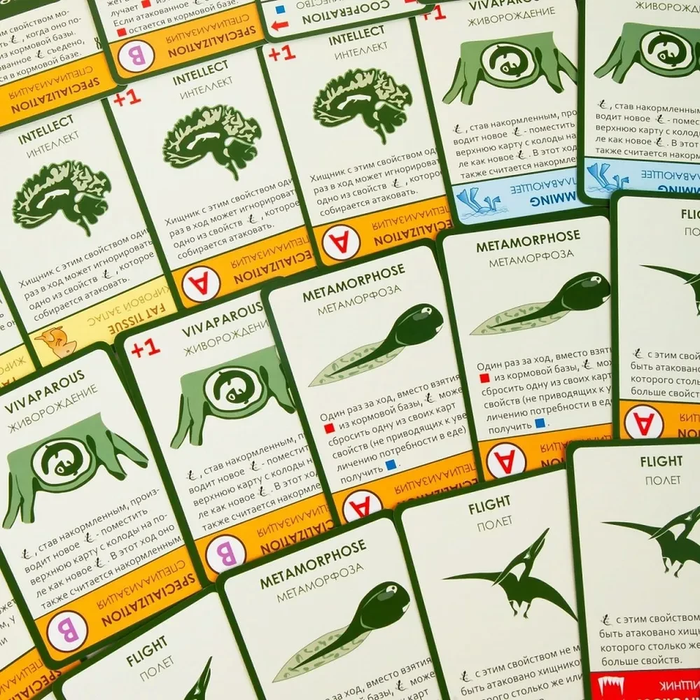Kartenspiel Evolution. Time to Fly“ (Ergänzung)