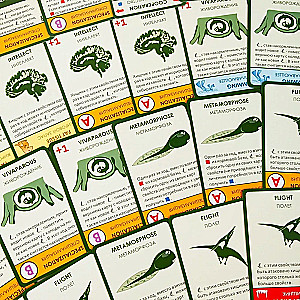 Kartenspiel Evolution. Time to Fly“ (Ergänzung)