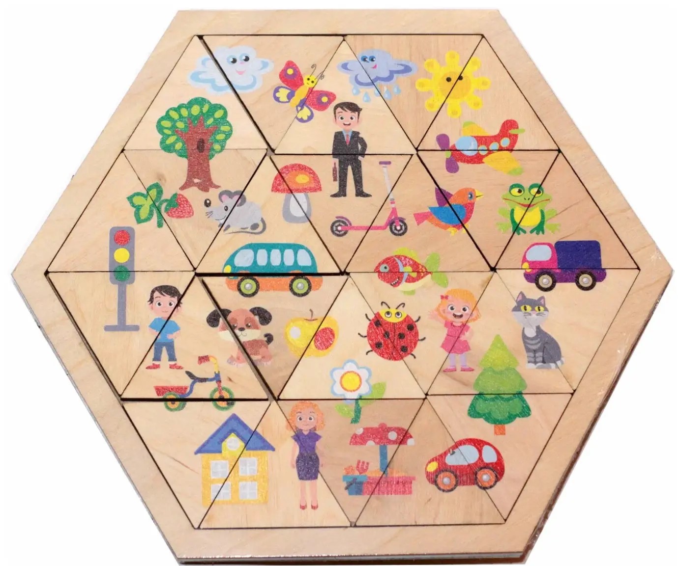 Wooden Puzzle - The World Around