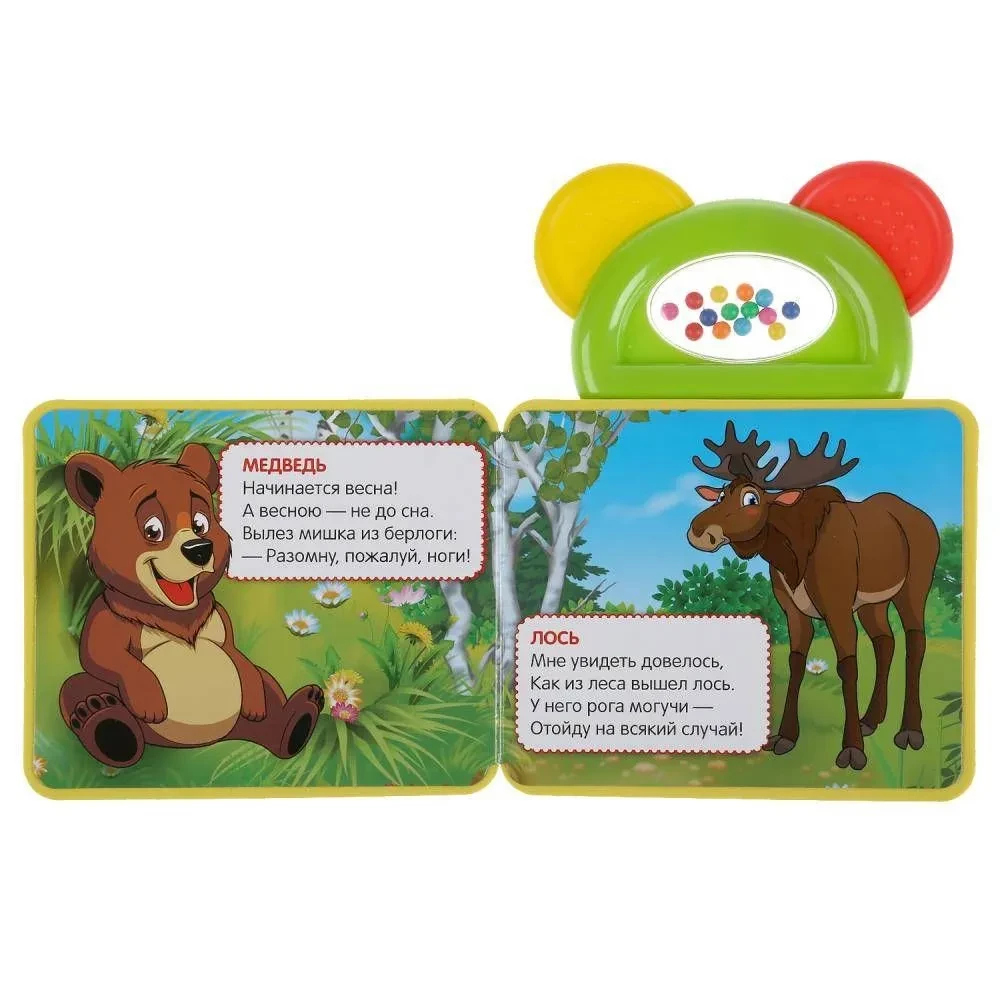 Forest Animals