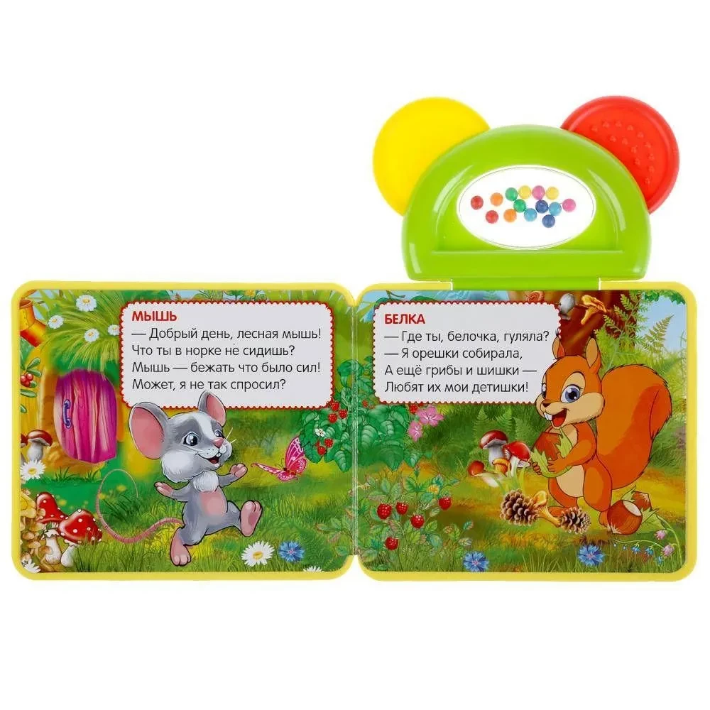 Forest Animals